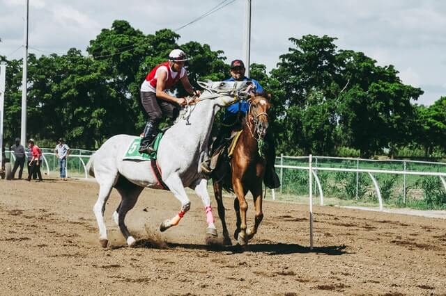 Comment jouer aux courses de chevaux PMU quinté ?